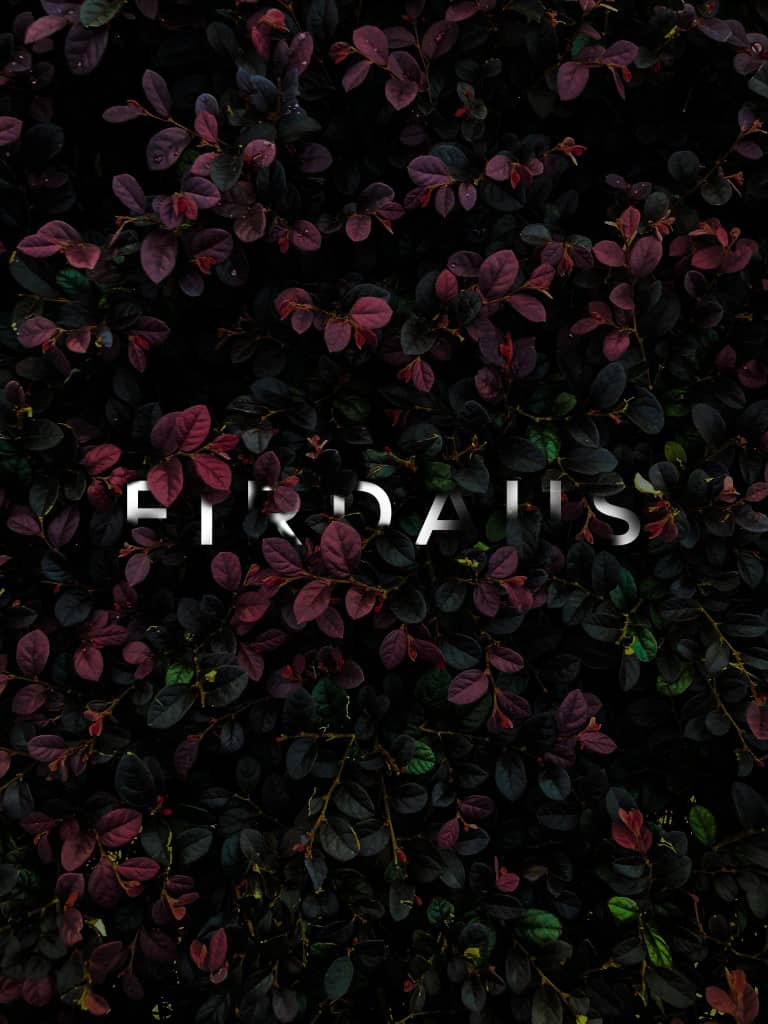FirdausSpeedash's profile banner image