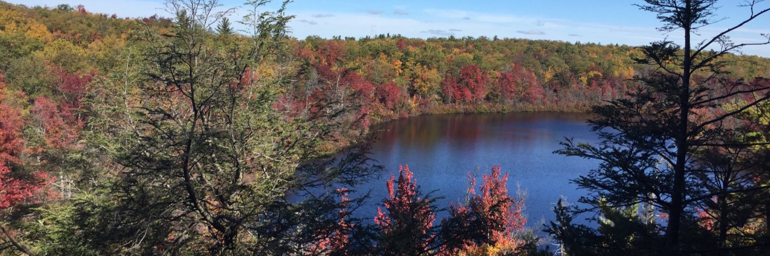 Jacqueline McCarthy banner