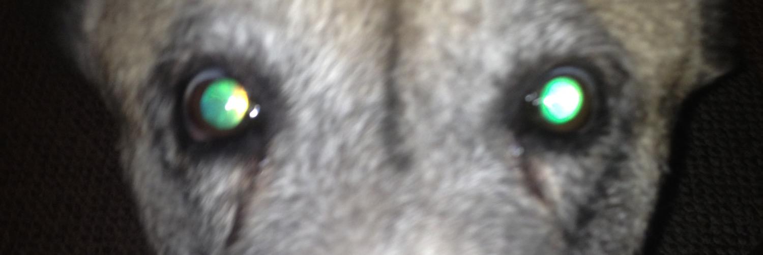 P1D1Jon's profile banner image