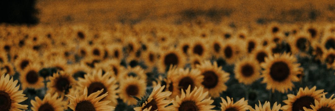 vanessaliang4's profile banner image