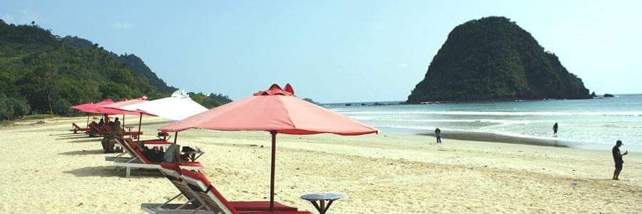 edy_cips's profile banner image
