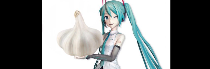 Garlicbrah🧄 banner