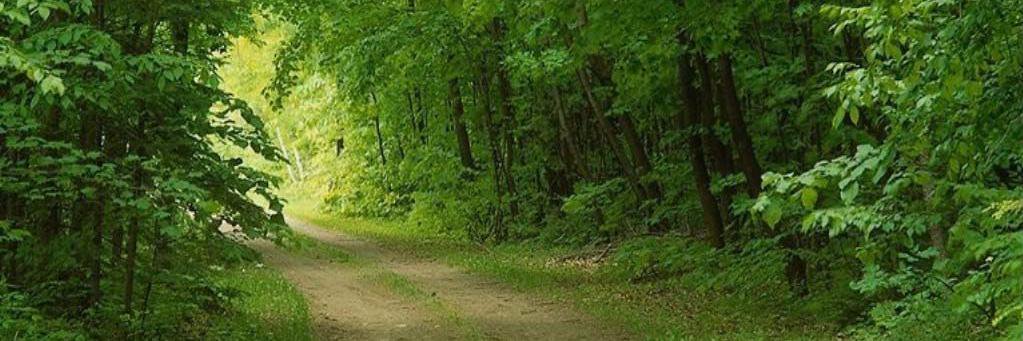 JBowman33IA's profile banner image
