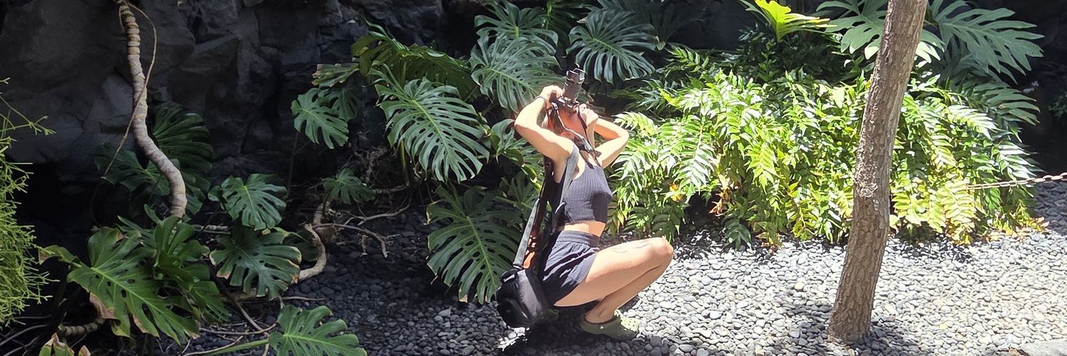 MisSpider 🕷️ banner