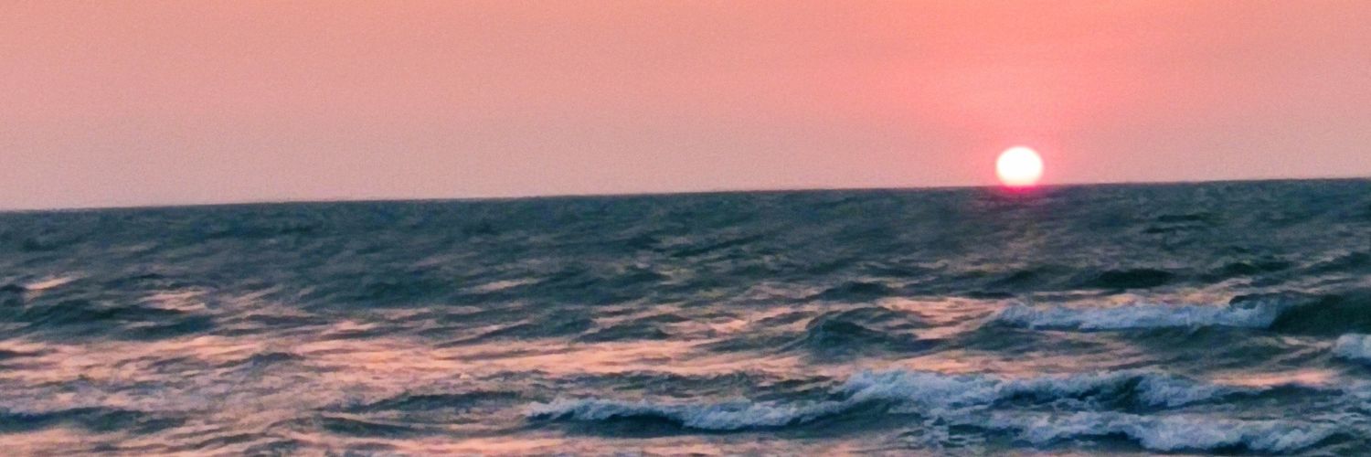 bumblebee555512's profile banner image