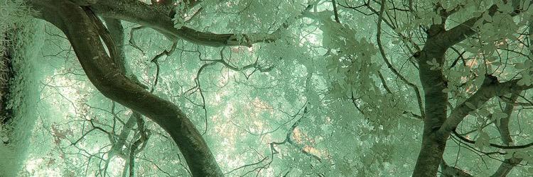 tibiomnetempus's profile banner image