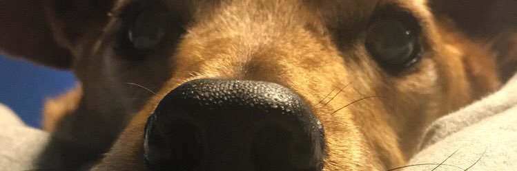 Ash_Campbell2's profile banner image