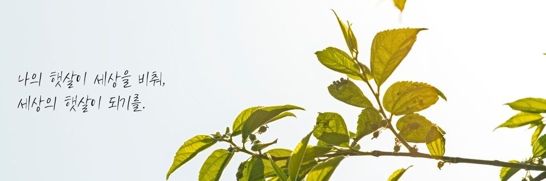 S_aro313's profile banner image