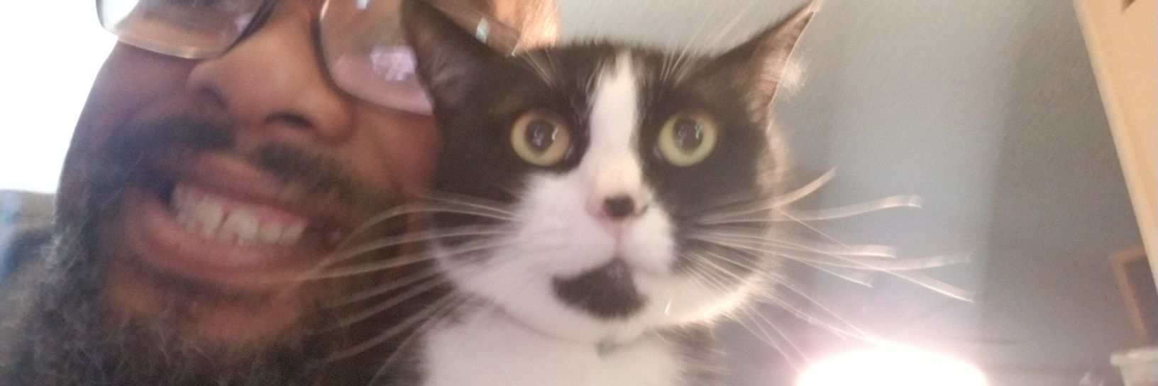 RoamingGnome74's profile banner image