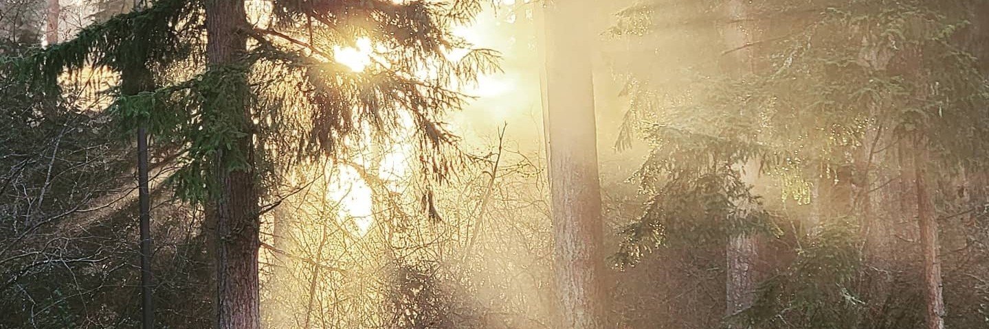Ur_Maley's profile banner image