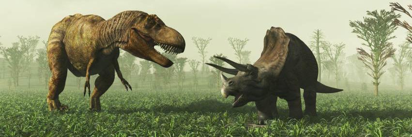 CU_Dinos's profile banner image