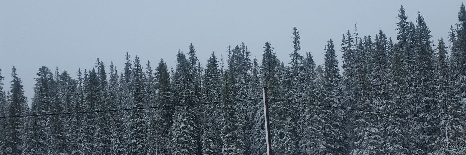 gjssyn95's profile banner image