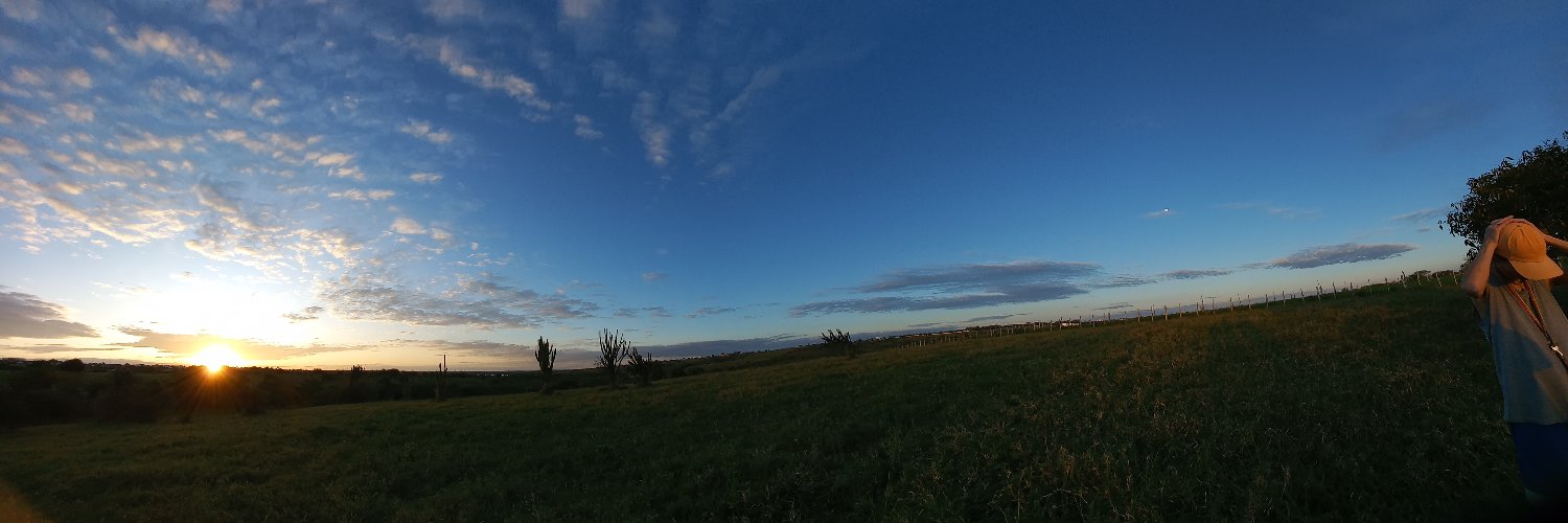 queriadormi's profile banner image