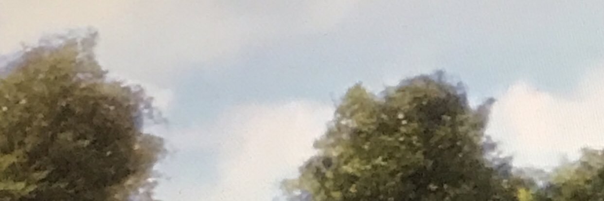 ale banner