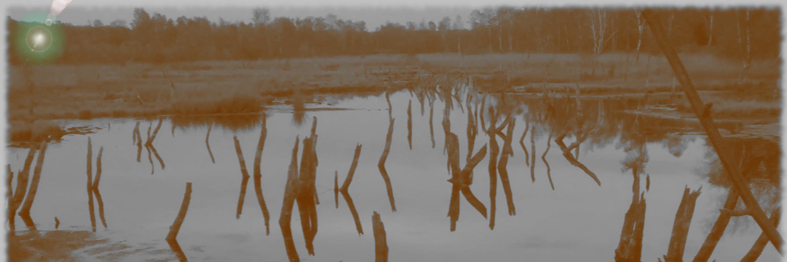 ellis_decay's profile banner image