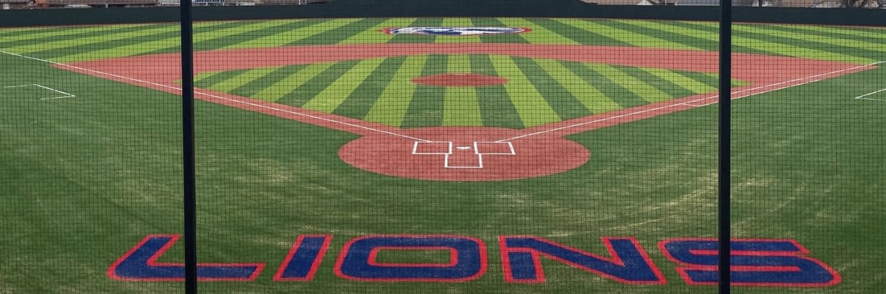 Moore Lions Baseball banner