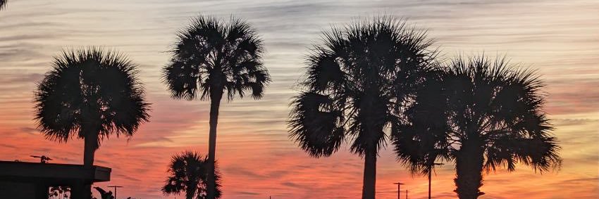 Mark_Brockman3's profile banner image