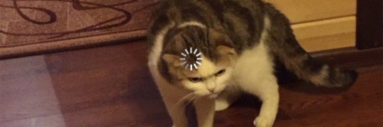 Behati "El conejo de los volcanes" banner