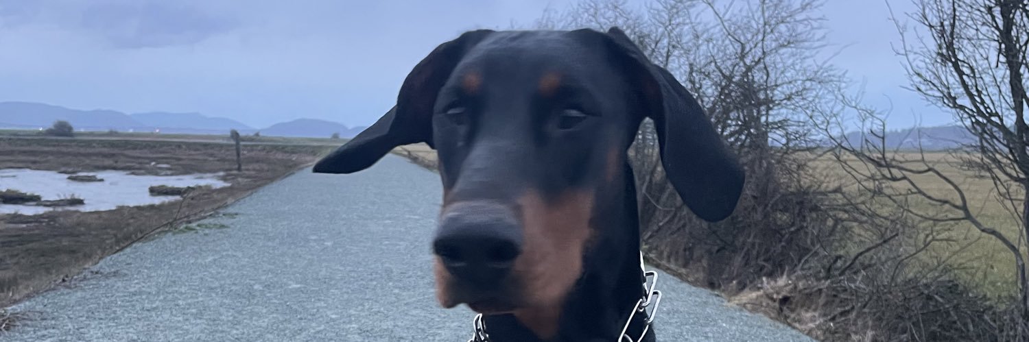 allichase10's profile banner image