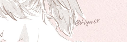 Fligon08's profile banner image