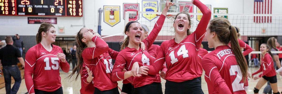 FORESTCITYvolleyball banner