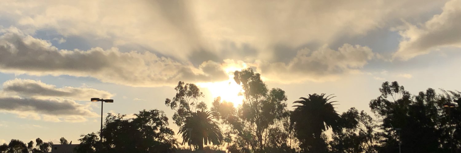 nicoletspaghet's profile banner image