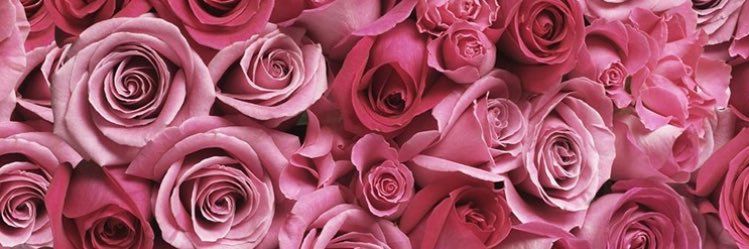 guzelshatha's profile banner image