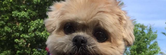 jabimba's profile banner image