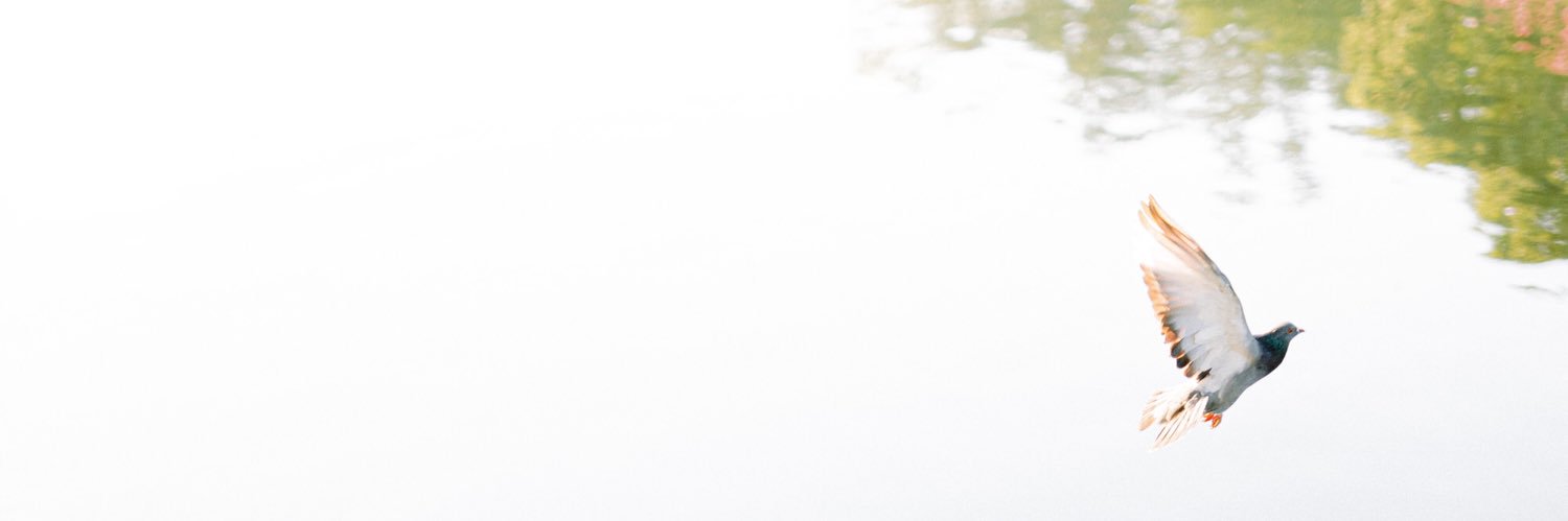 italofoto's profile banner image