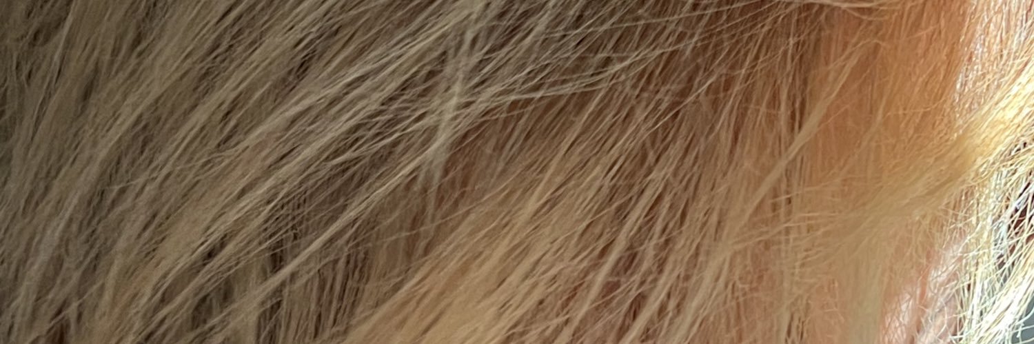 ashyvirgin's profile banner image