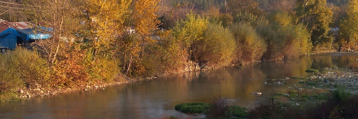 mavilimsigibi's profile banner image