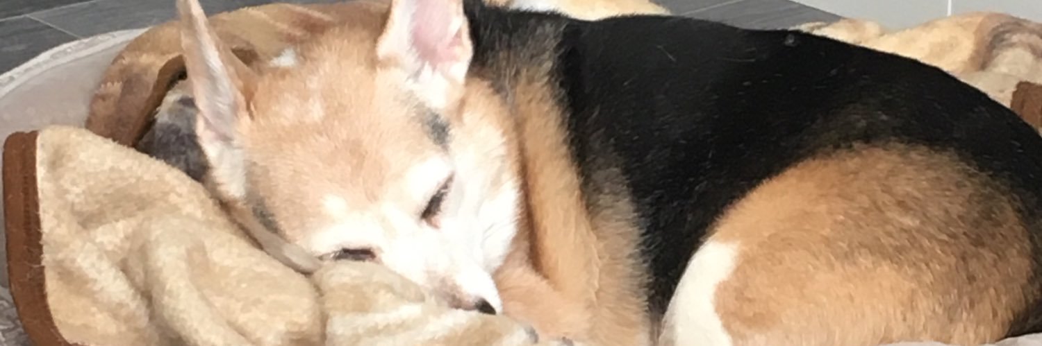 MichelleR_TD's profile banner image