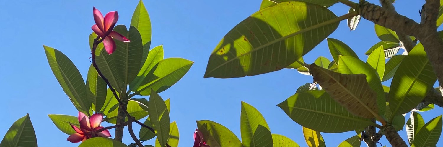 nasrindah's profile banner image