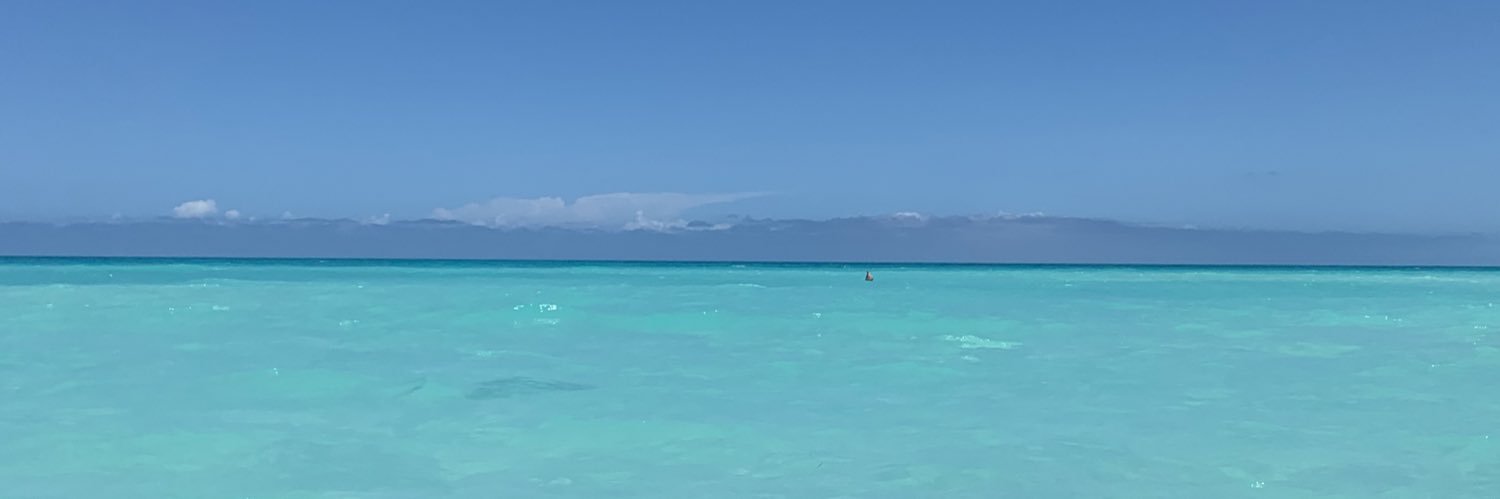 chabelimu's profile banner image