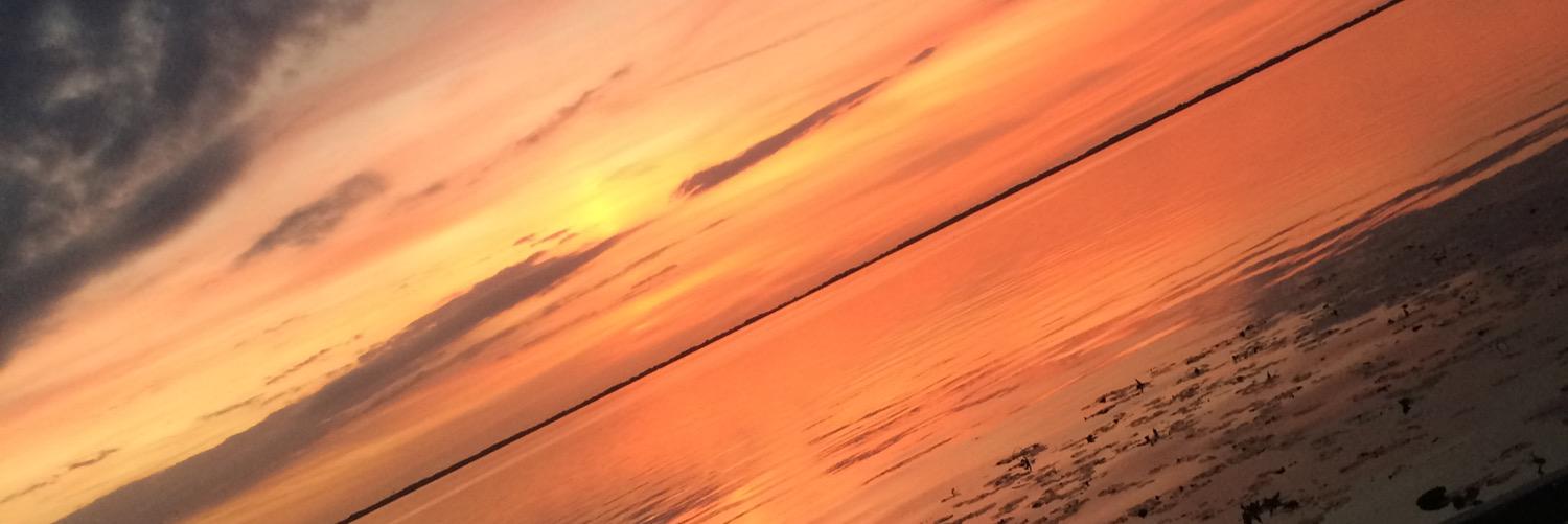 Tayloraydd's profile banner image