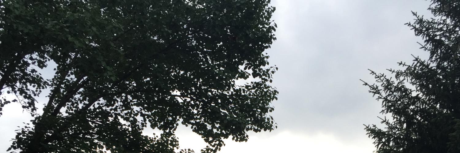 Cams1511's profile banner image