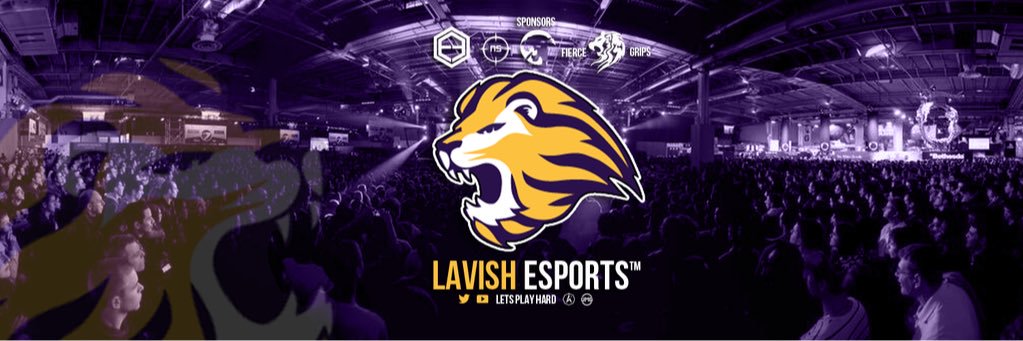LavishRetweets's profile banner image