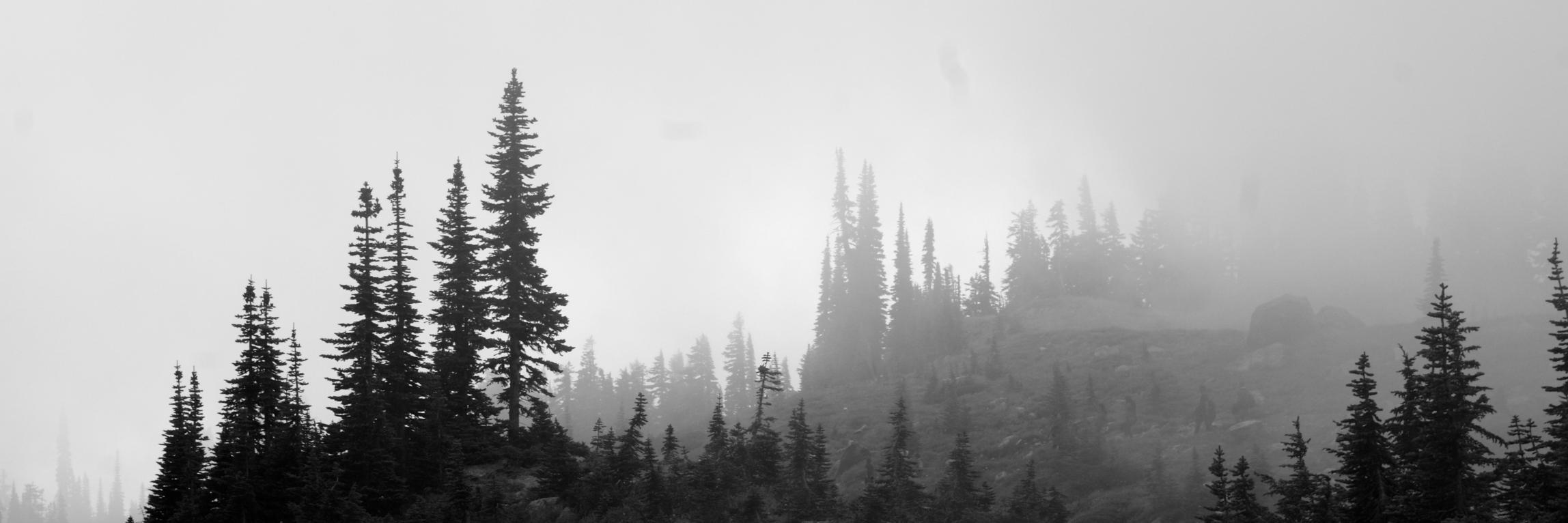 CavernariaBanda's profile banner image
