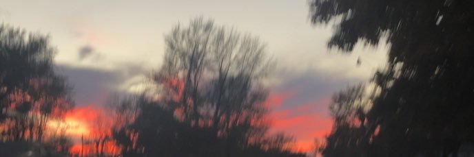 austyn271's profile banner image