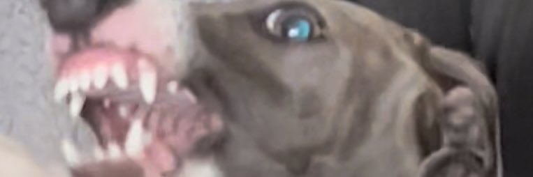 nftRiver__'s profile banner image