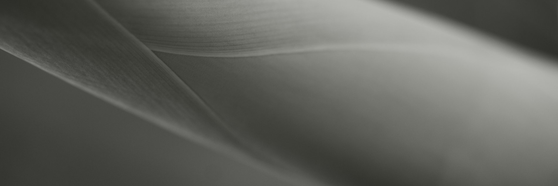 amanda fiedler banner