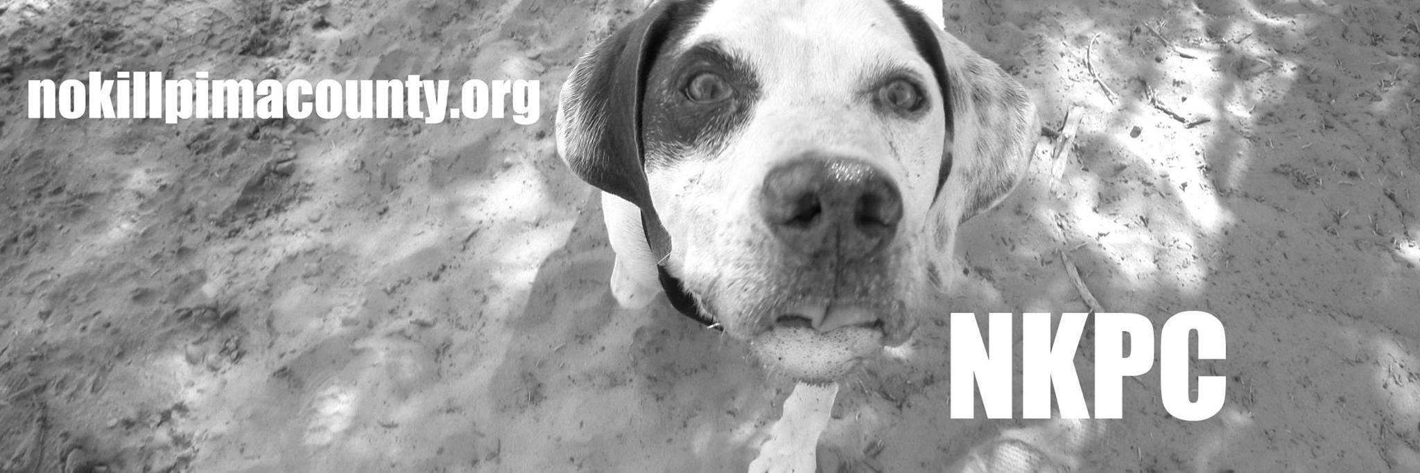No Kill Pima County banner