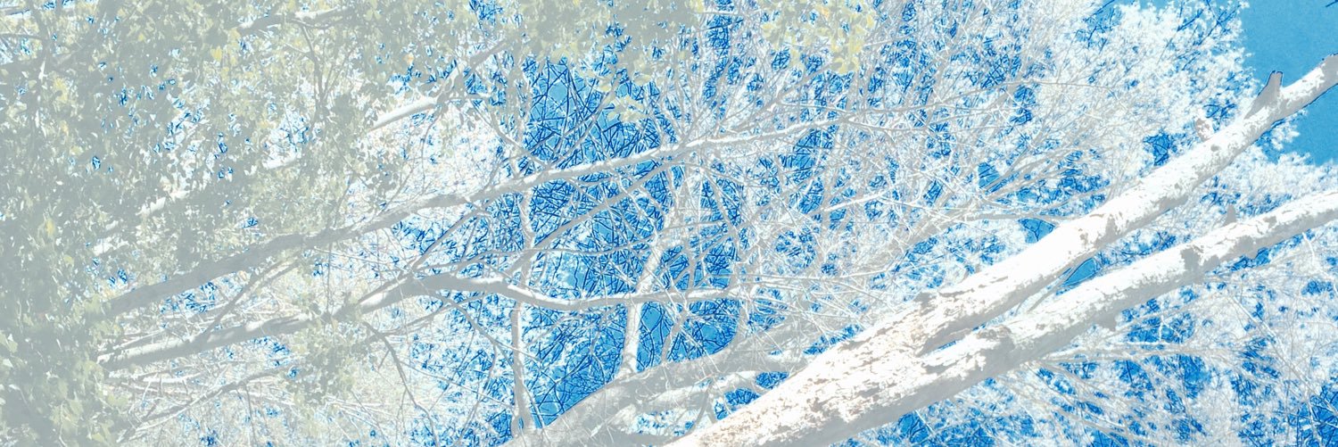 mistaKilgore's profile banner image