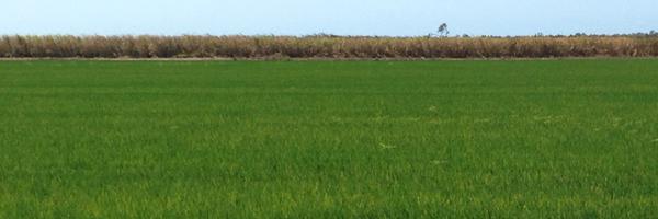 scottburger00 Profile Banner