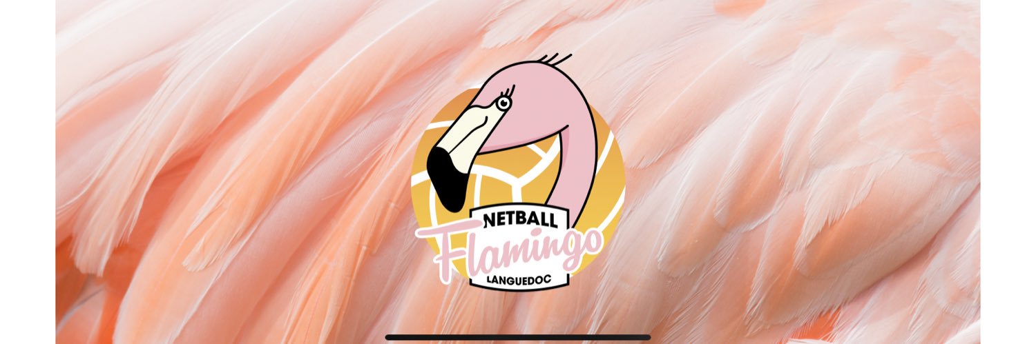 NetballMF's profile banner image