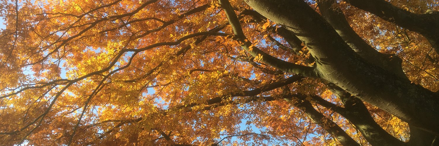 Tim Middleton banner