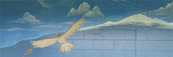 MtViewHawks Profile Banner