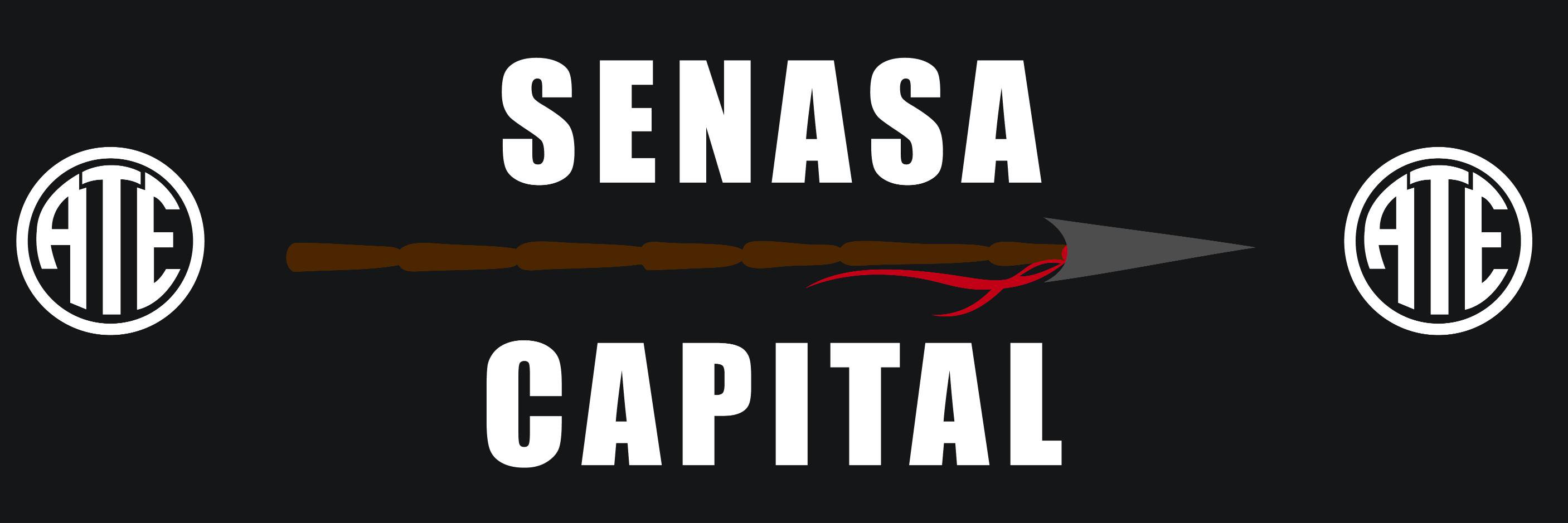 ATESenasa's profile banner image