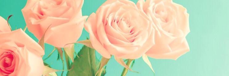 PutriErli's profile banner image