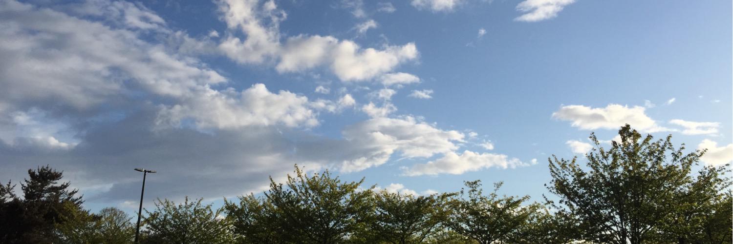 firfade's profile banner image